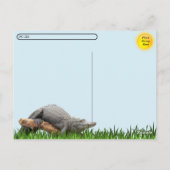 Postcrossing - Gator Reflections in the Swamp ポストカード (裏面)