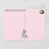 Postcrossing George the Cat's Close Upはがき シーズンポストカード (裏面)