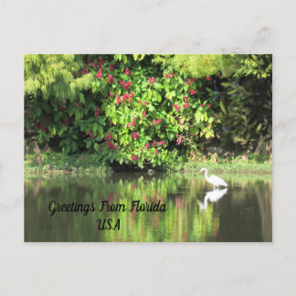 Postcrossing - Greetings from - Egret Landscape シーズンポストカード