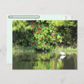 Postcrossing - Greetings from - Egret Landscape シーズンポストカード (正面/裏面)