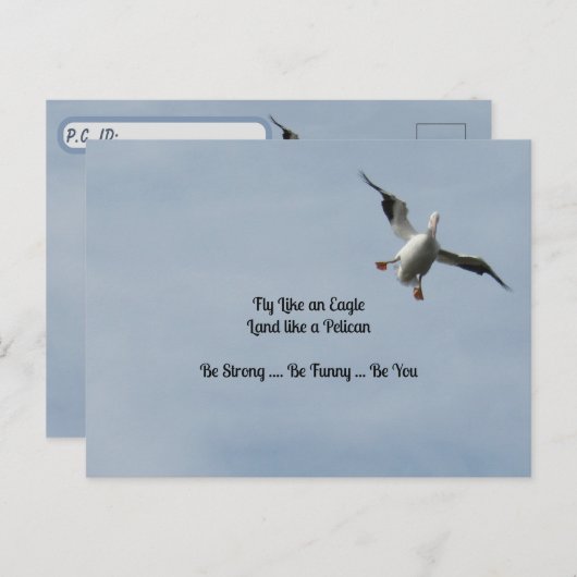 Postcrossing ID Box – アメリカンホワイトペリカン ポストカード (正面/裏面)