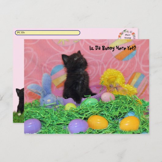 Postcrossing - Iz Da Easter Bunnyはまだか？イースター シーズンポストカード (正面/裏面)