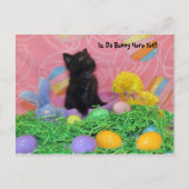 Postcrossing - Iz Da Easter Bunnyはまだか？イースター シーズンポストカード (正面)