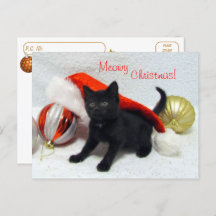 Postcrossing - Joon's Christmas - Cat /子猫