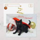 Postcrossing - Joon's Christmas - Cat /子猫 ポストカード (正面/裏面)