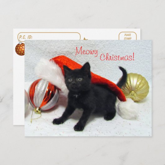 Postcrossing - Joon's Christmas - Cat /子猫 ポストカード (正面/裏面)