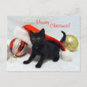 Postcrossing - Joon's Christmas - Cat /子猫 ポストカード (正面)