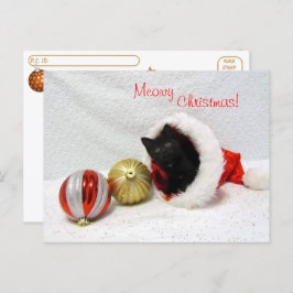 Postcrossing - Joon's Christmas - Cat /子猫 ポストカード
