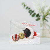 Postcrossing - Joon's Christmas - Cat /子猫 ポストカード (スタンド正面)