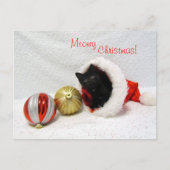 Postcrossing - Joon's Christmas - Cat /子猫 ポストカード (正面)