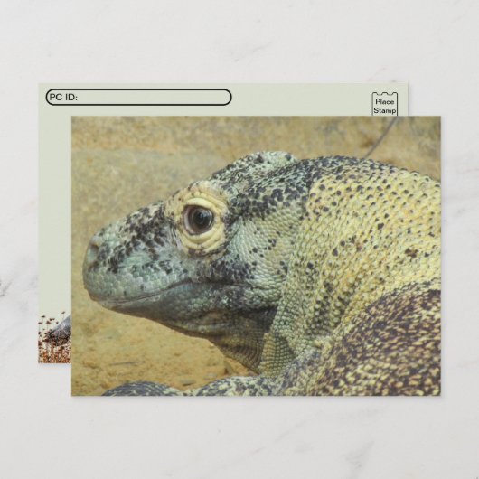 Postcrossing - Komodo Dragon ポストカード (正面/裏面)