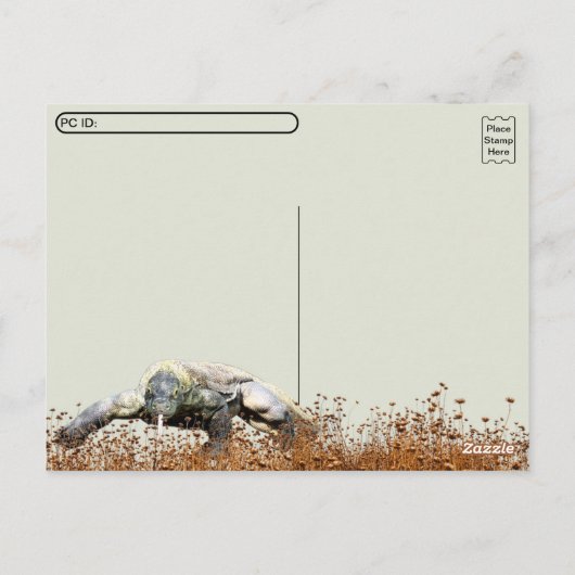 Postcrossing - Komodo Dragon ポストカード (裏面)