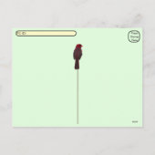 Postcrossing -Male Cardinal Bird Watching Postcard シーズンポストカード (裏面)