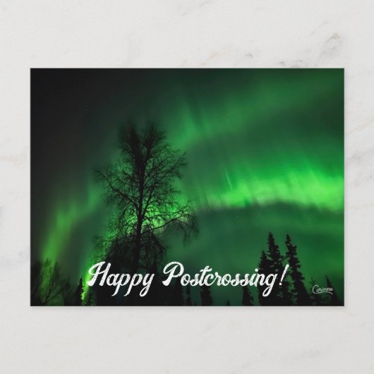 Postcrossing Northern Lights 4 – はがき (正面)