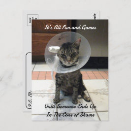 Postcrossing - Oliver The Cats Cone of Shame ポストカード