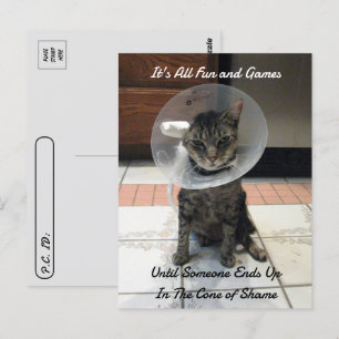 Postcrossing - Oliver The Cats Cone of Shame ポストカード