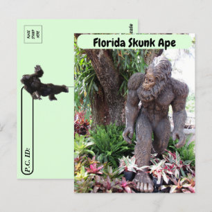 Postcrossing - Pic of Florida Skunk Ape ポストカード