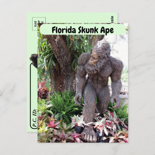 Postcrossing - Pic of Florida Skunk Ape ポストカード (正面/裏面)