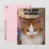 Postcrossing Reba's Catutitudeはがき ポストカード (正面/裏面)