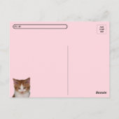 Postcrossing Reba's Catutitudeはがき ポストカード (裏面)