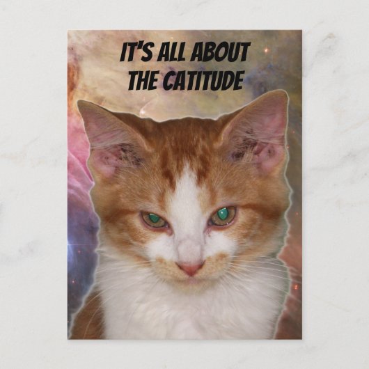 Postcrossing Reba's Catutitudeはがき ポストカード (正面)