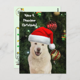 Postcrossing Santa Paws – ハッピーハスキーのクリスマス ポストカード
