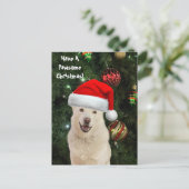 Postcrossing Santa Paws – ハッピーハスキーのクリスマス ポストカード (スタンド正面)
