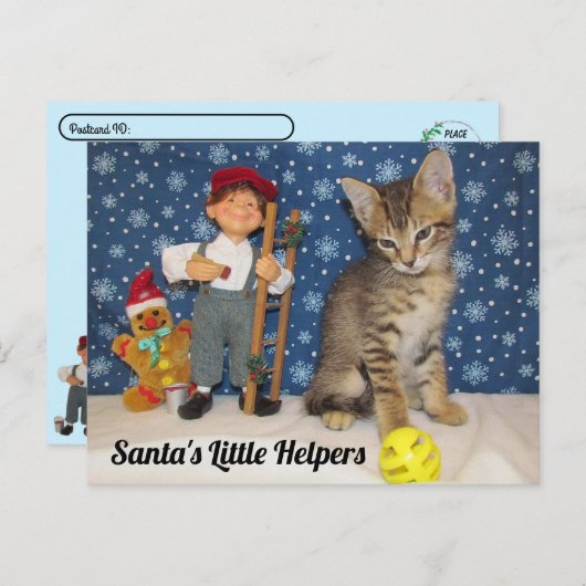 Postcrossing - Santa's Little Helpers - Cat & 小妖精や ポストカード (正面/裏面)