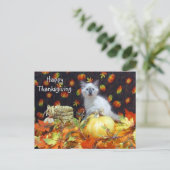 Postcrossing - Savannah Siamese Cat's Thanksgiving ポストカード (スタンド正面)