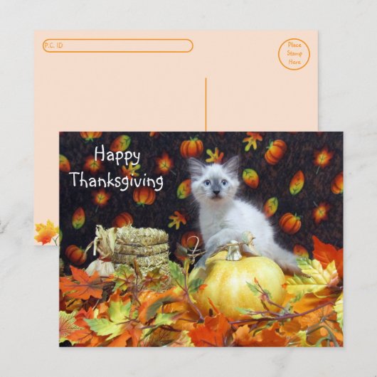Postcrossing - Savannah Siamese Cat's Thanksgiving ポストカード (正面/裏面)