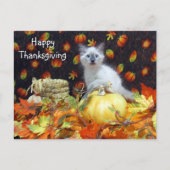 Postcrossing - Savannah Siamese Cat's Thanksgiving ポストカード (正面)