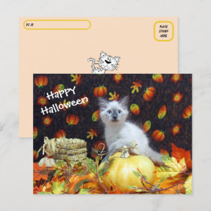 Postcrossing - Savannah's Halloween Postriver - Ca ポストカード