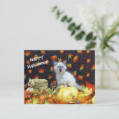 Postcrossing - Savannah's Halloween Postriver - Ca ポストカード (スタンド正面)