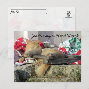 Postcrossing - Simba the Cat's Gardeningはがき ポストカード