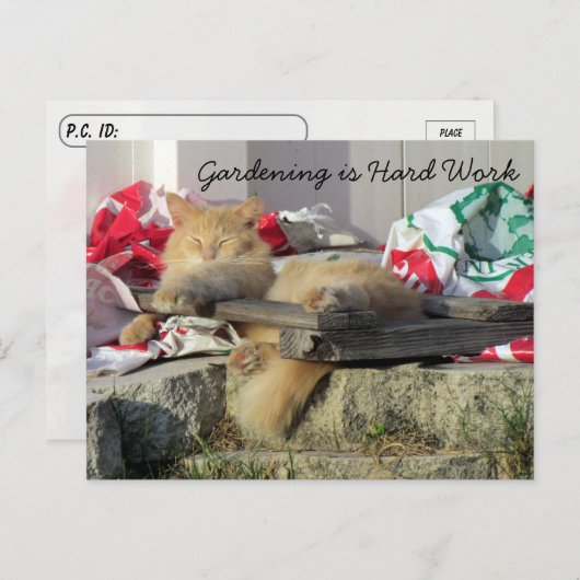 Postcrossing - Simba the Cat's Gardeningはがき ポストカード (正面/裏面)