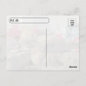 Postcrossing - Simba the Cat's Gardeningはがき ポストカード (裏面)