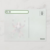 Postcrossing Spotted Orbweaver Spiderはがき ポストカード (裏面)