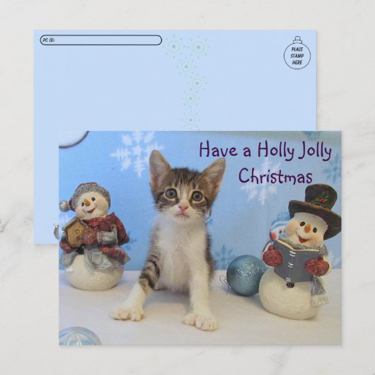 Postcrossing Taromina Cat – ホリーすてきクリスマス ポストカード (正面/裏面)