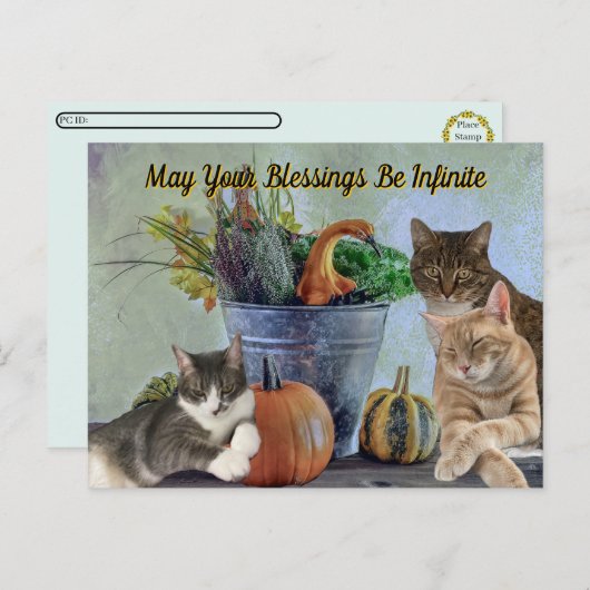 Postcrossing Tito Taz & Annie's 2025 Thanksgiving シーズンポストカード (正面/裏面)