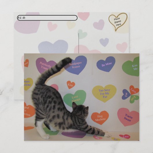 Postcrossing - Wyatt The Cat's Conversationハート ポストカード (正面/裏面)