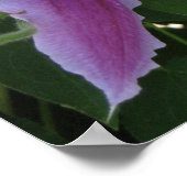 POSTER – イギリスの春の花 ポスター (角)