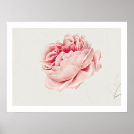 POSTER :バラ: GEORGIUS J. JOHANNES VAN OS ポスター