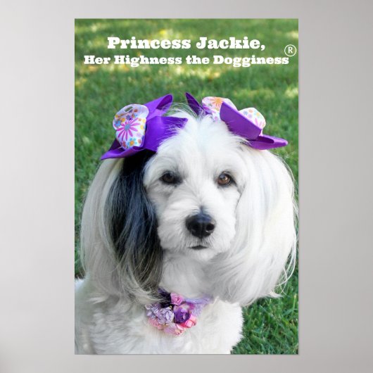 Poster ポスター (正面)