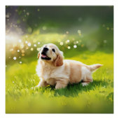 POSTER ポスター (正面)