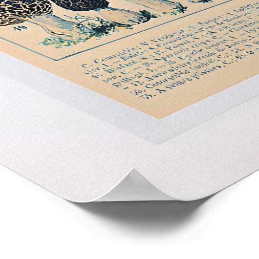 Poster ポスター (角)