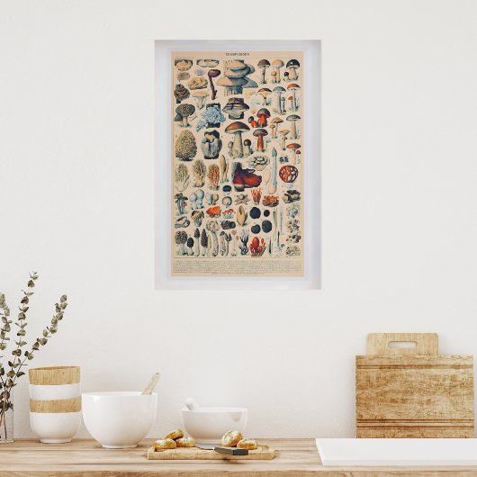 Poster ポスター (キッチン)