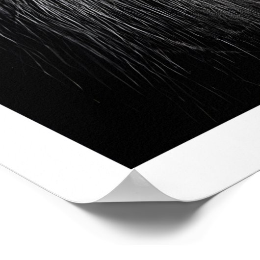 Poster ポスター (角)