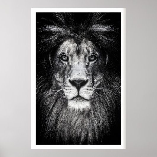 Poster ポスター (正面)