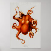 Poster ポスター (正面)