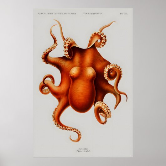 Poster ポスター (正面)